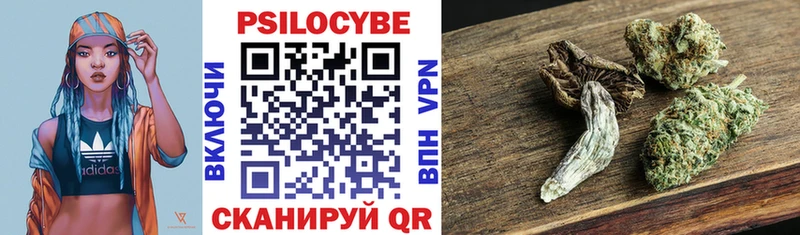 Купить где  Ильский  Галлюциногенные грибы ЛСД 